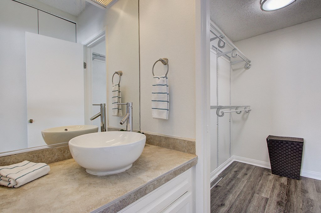 a bathroom with a sink and a shower