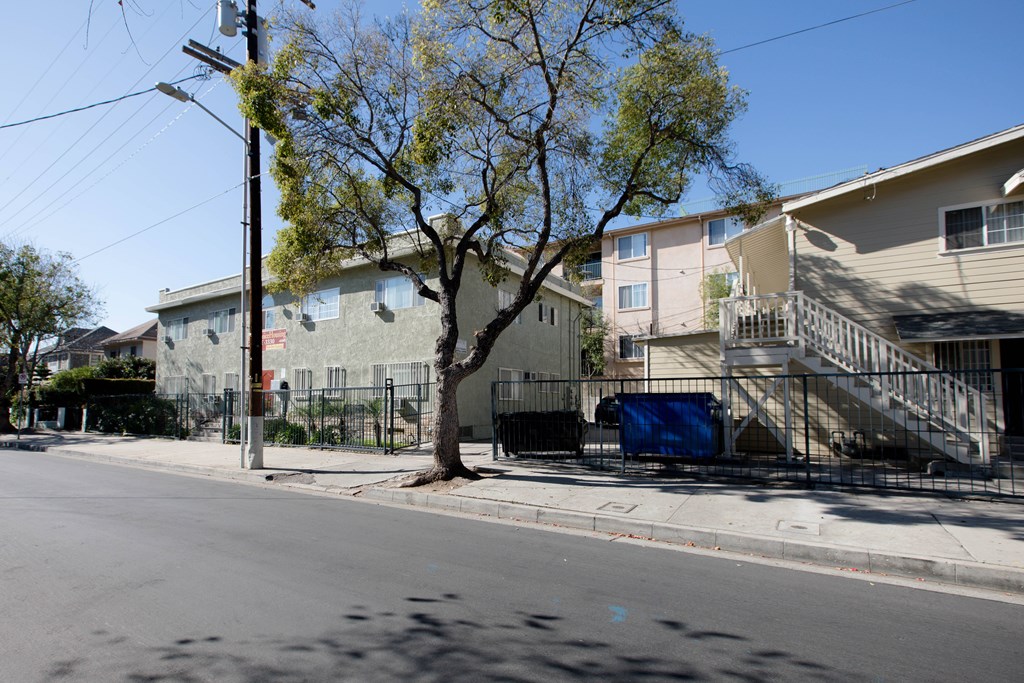 A tree in front of a building with a blue tarp on the stairs.