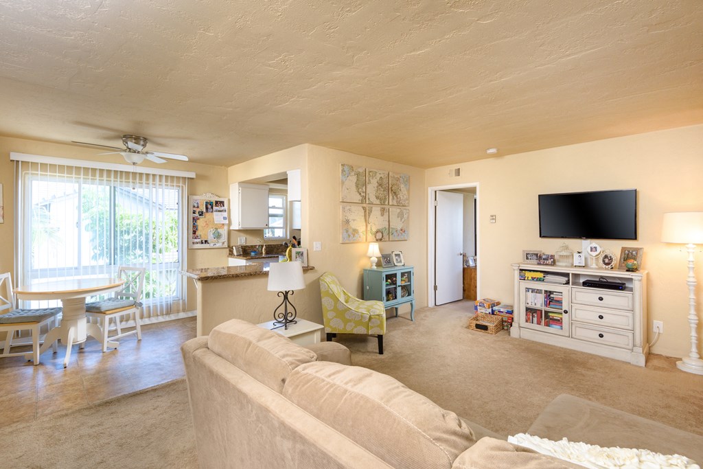a living room with a couch and a tv