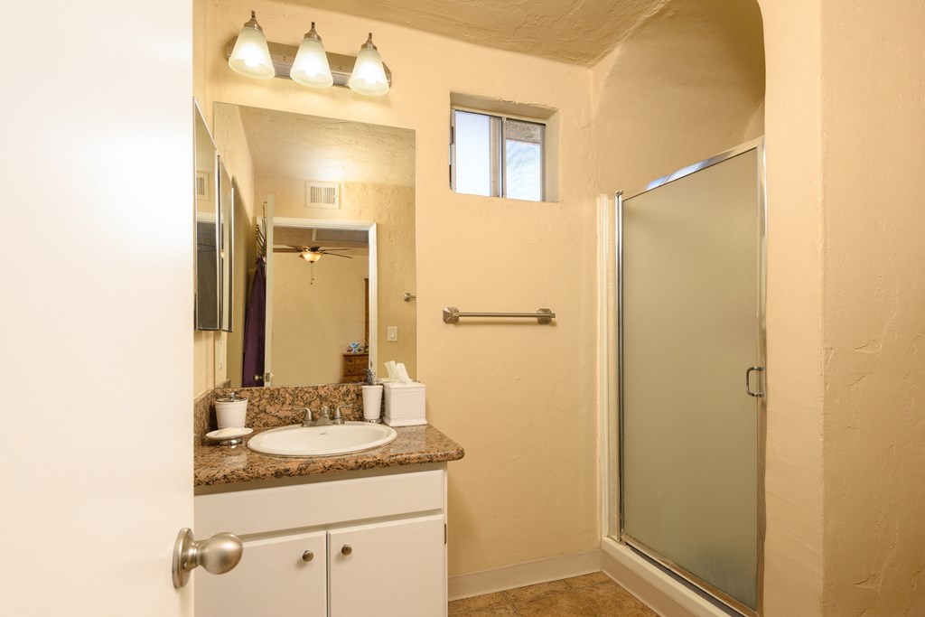 a bathroom with a sink and a shower and a mirror