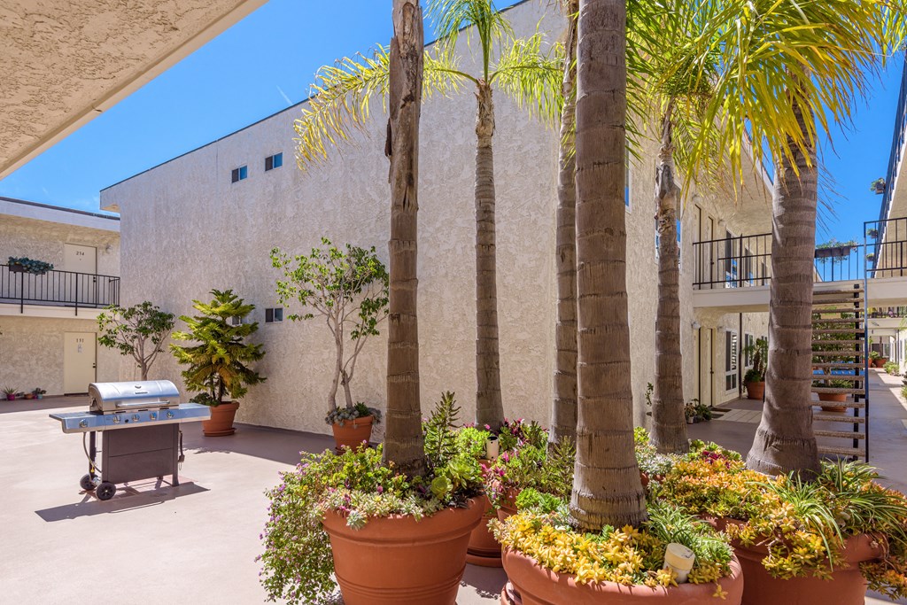 a patio with palm trees and plants and a grill