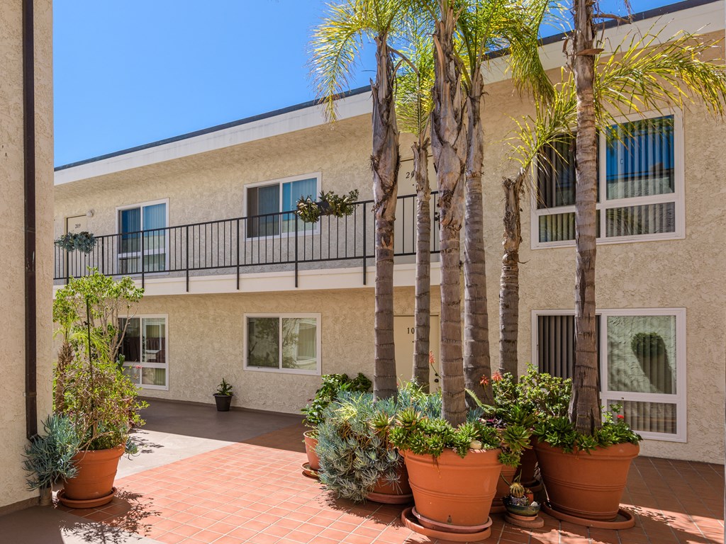 the outside of a building with potted plants and palm trees