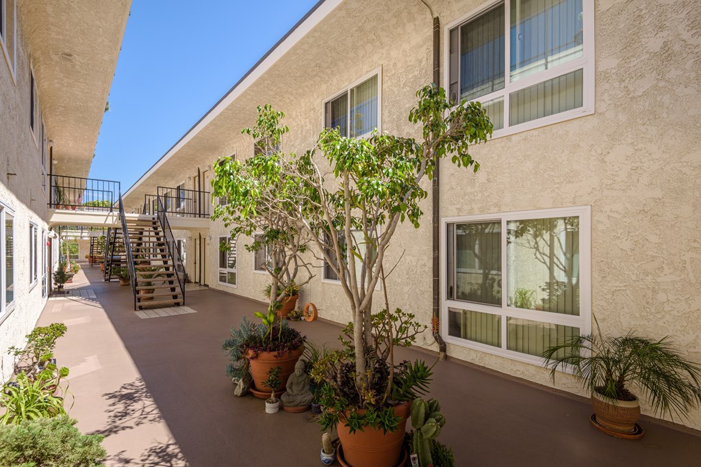 a courtyard with potted plants and a building with stairs