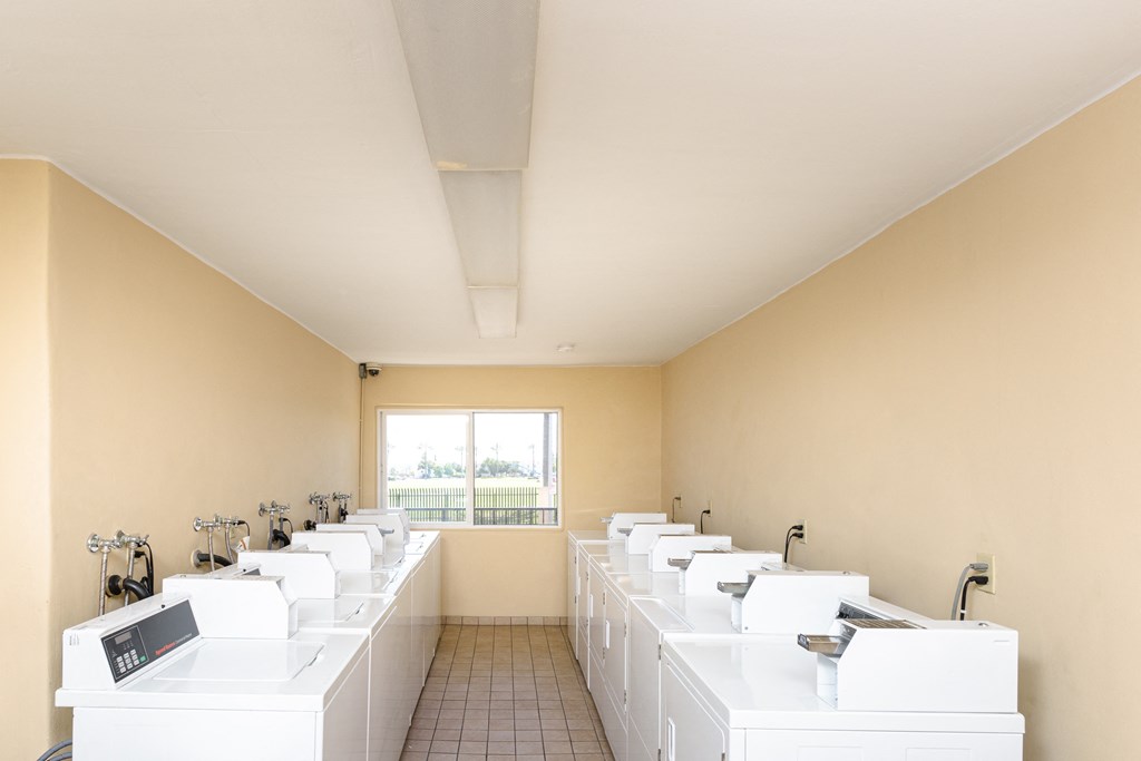 a row of white sinks in a room with a window