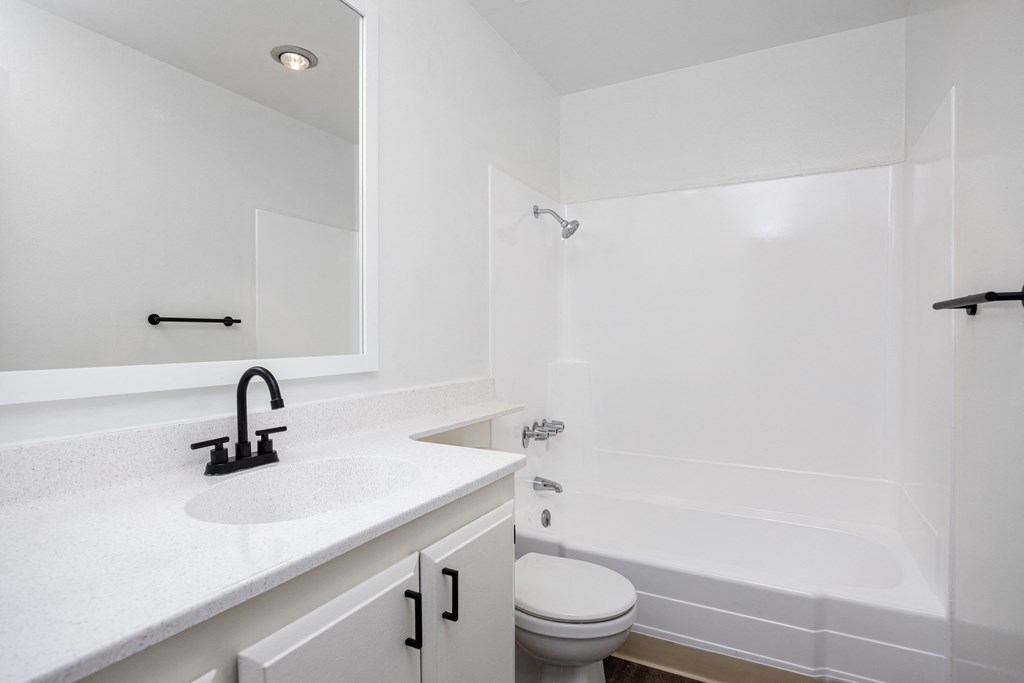 a bathroom with a sink and a toilet and a bath tub