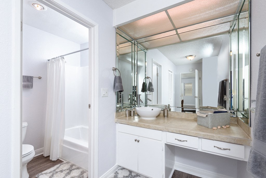 a bathroom with a sink and a mirror and a shower