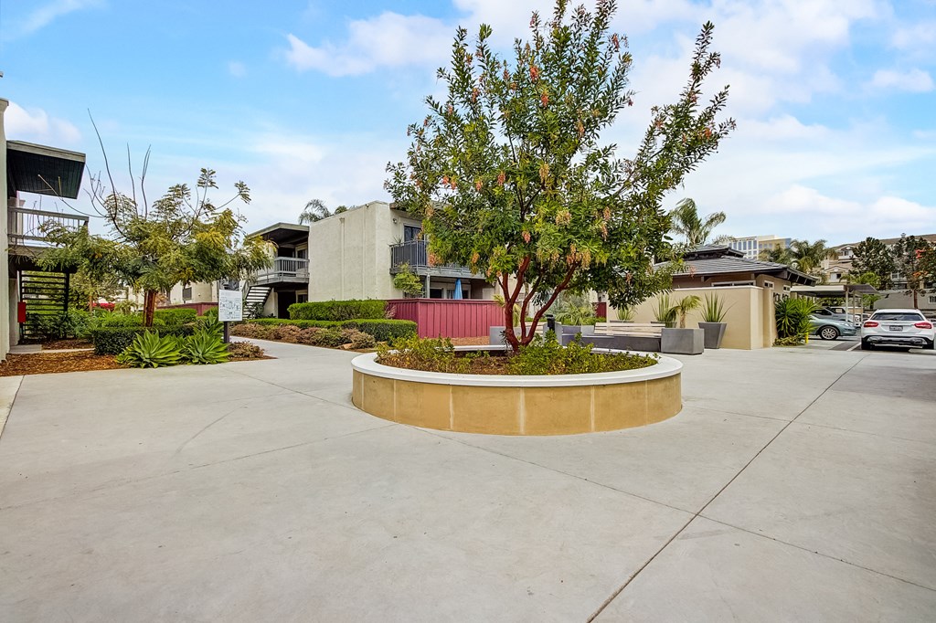 an empty parking lot with a tree in the middle of it