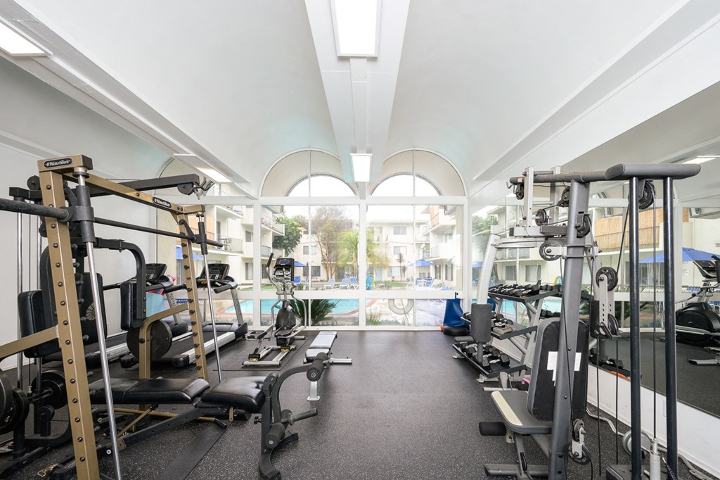 a gym with weights and cardio machines and a pool
