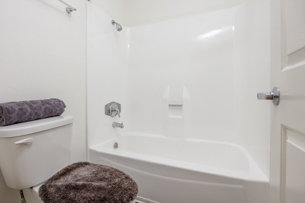 a bathroom with a shower and a toilet and a rug