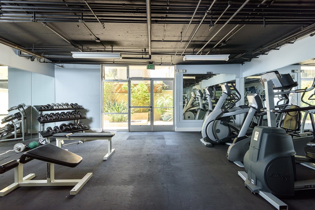 A gym with treadmills, weights, and exercise equipment.