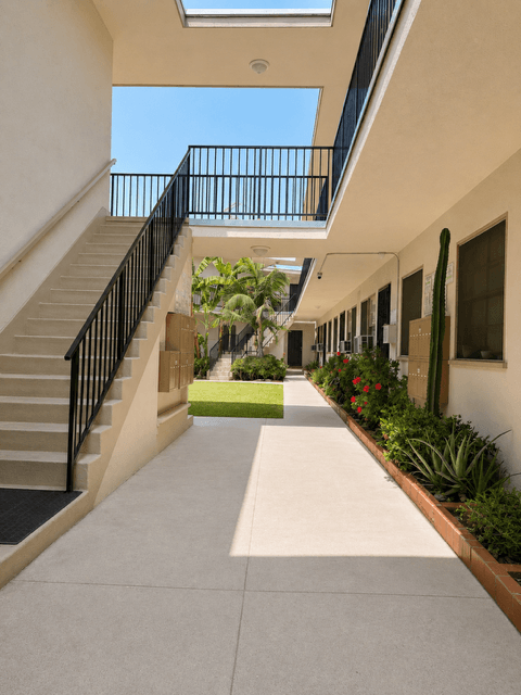 A long hallway with a skylight and a green plant on the right.