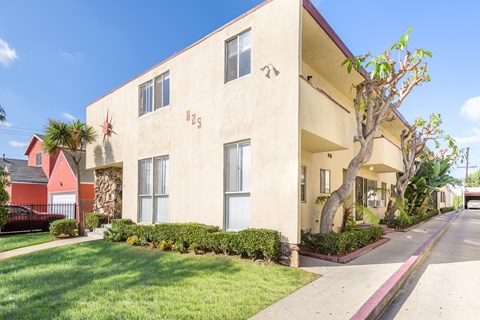 Pet-Friendly Apartments in Inglewood