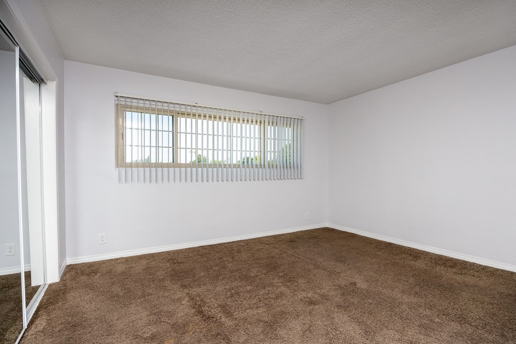 an empty living room with carpet and a window