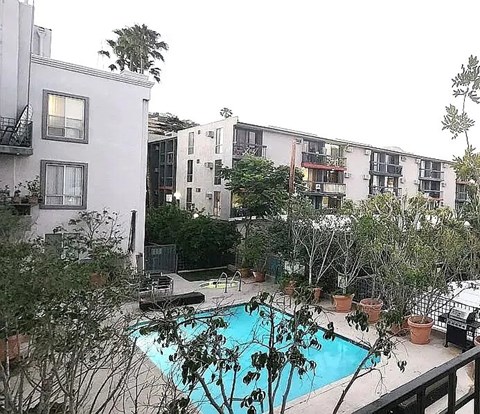 A pool surrounded by potted plants and trees in a courtyard.
