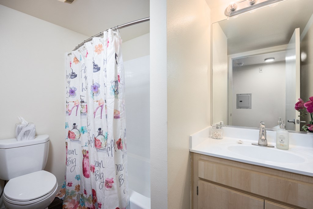 a bathroom with a shower toilet and sink