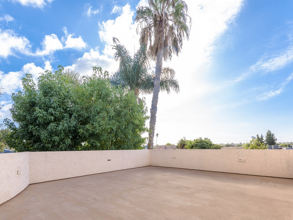 a large patio with palm trees and trees in the background