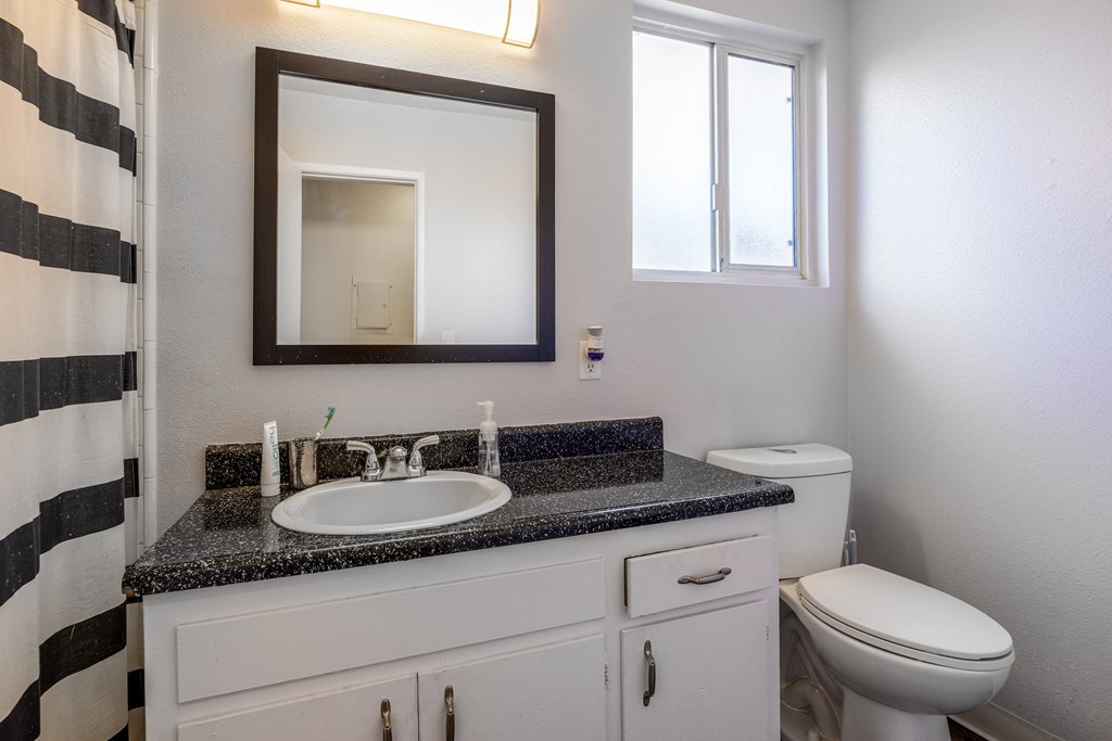 a bathroom with a sink and a mirror and a toilet