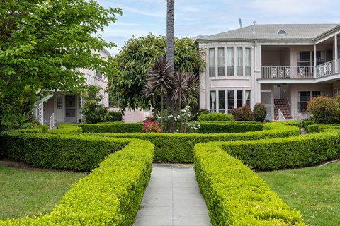 A well-manicured garden with a pathway in the middle.