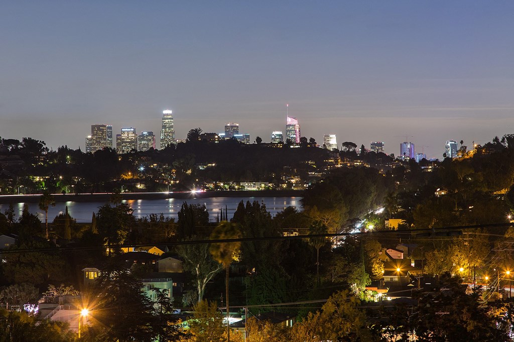 the city at night