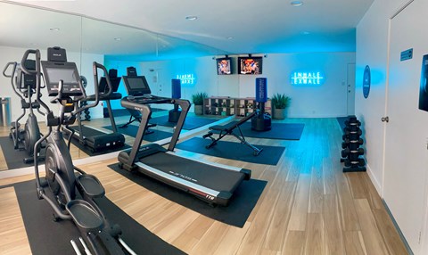 A gym with treadmills, exercise bikes, and dumbbells.