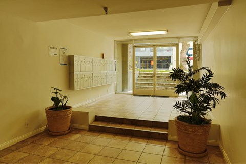 A hallway with two potted plants on either side of a set of stairs leading to a door.