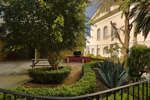 A white building with a tree in front of it.