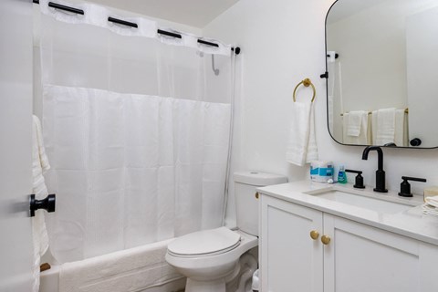 a bathroom with a shower and a sink and a toilet