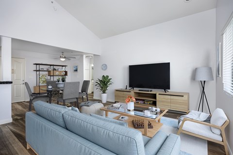A living room with a grey couch and a television.