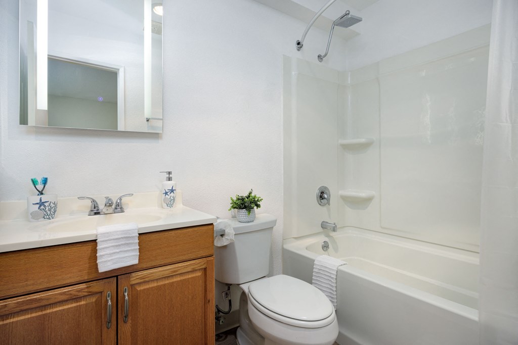 a bathroom with a sink toilet and a bath tub