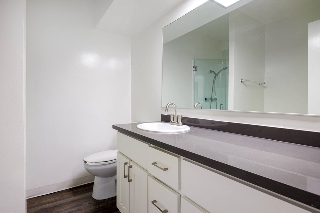 a bathroom with a sink and a toilet and a mirror