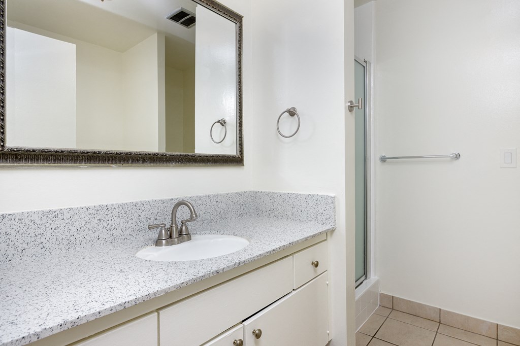 a bathroom with a sink and a shower