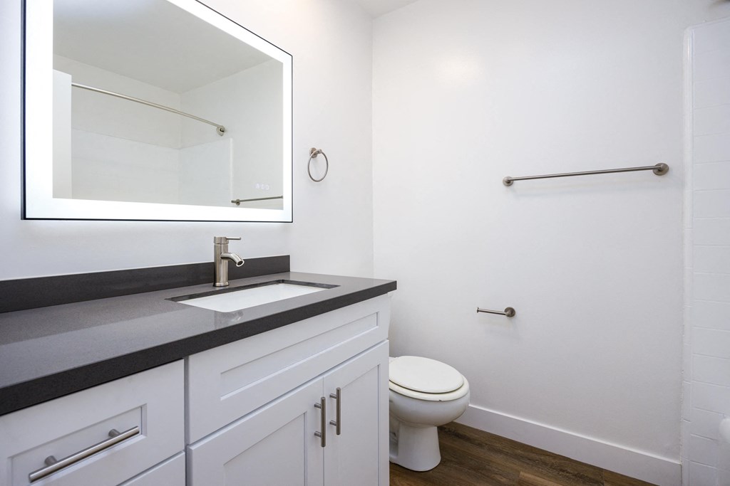 a bathroom with a sink and a toilet and a mirror