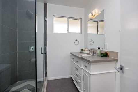 a bathroom with a sink and a shower