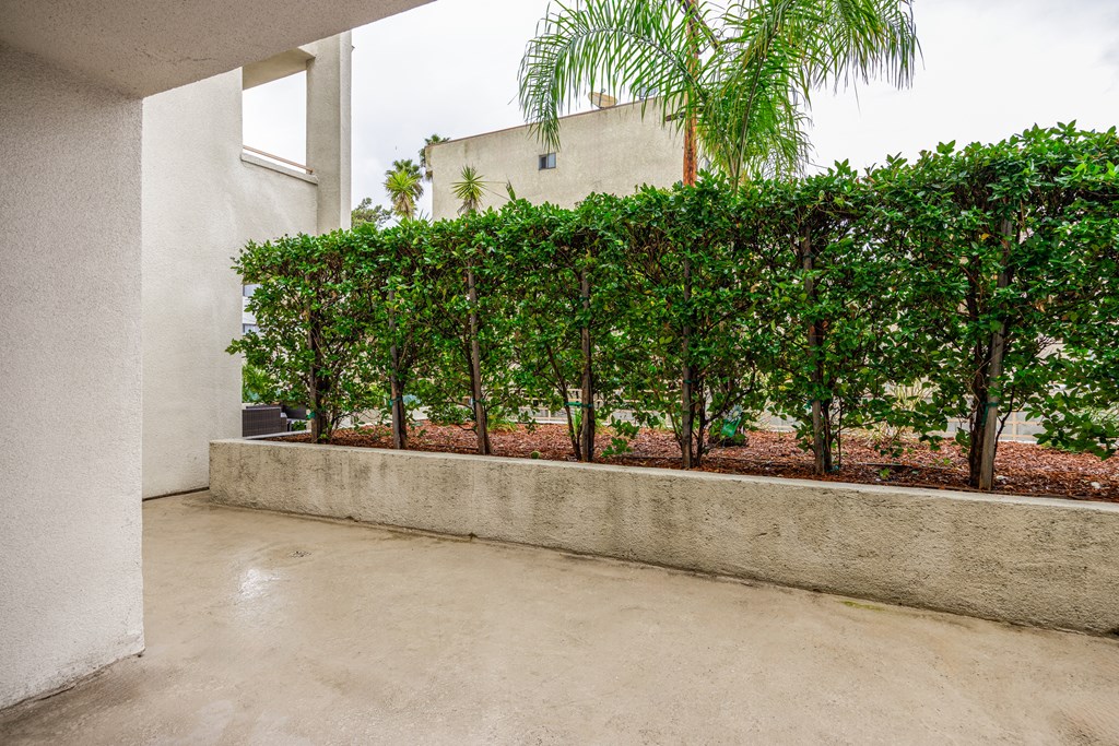 A concrete wall separates a patio from a garden.