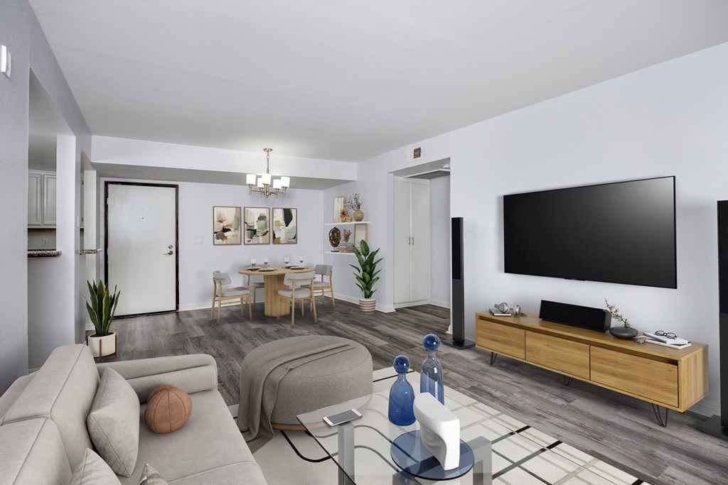 A modern living room with a grey couch, a wooden coffee table, a black TV, and a grey rug.