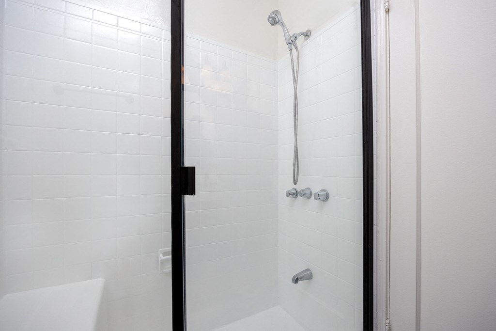 a bathroom with a shower and a sink