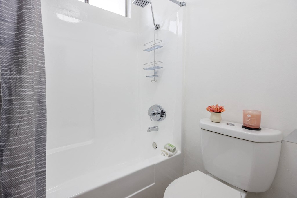 a white bathroom with a shower and a toilet