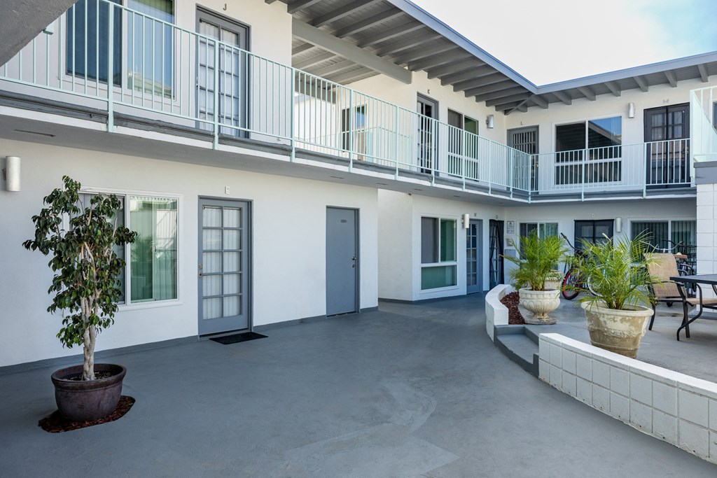 A courtyard with a tree and potted plants.