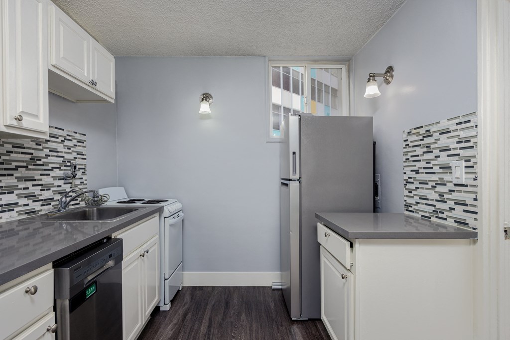 A kitchen with a refrigerator, dishwasher, and a washing machine.