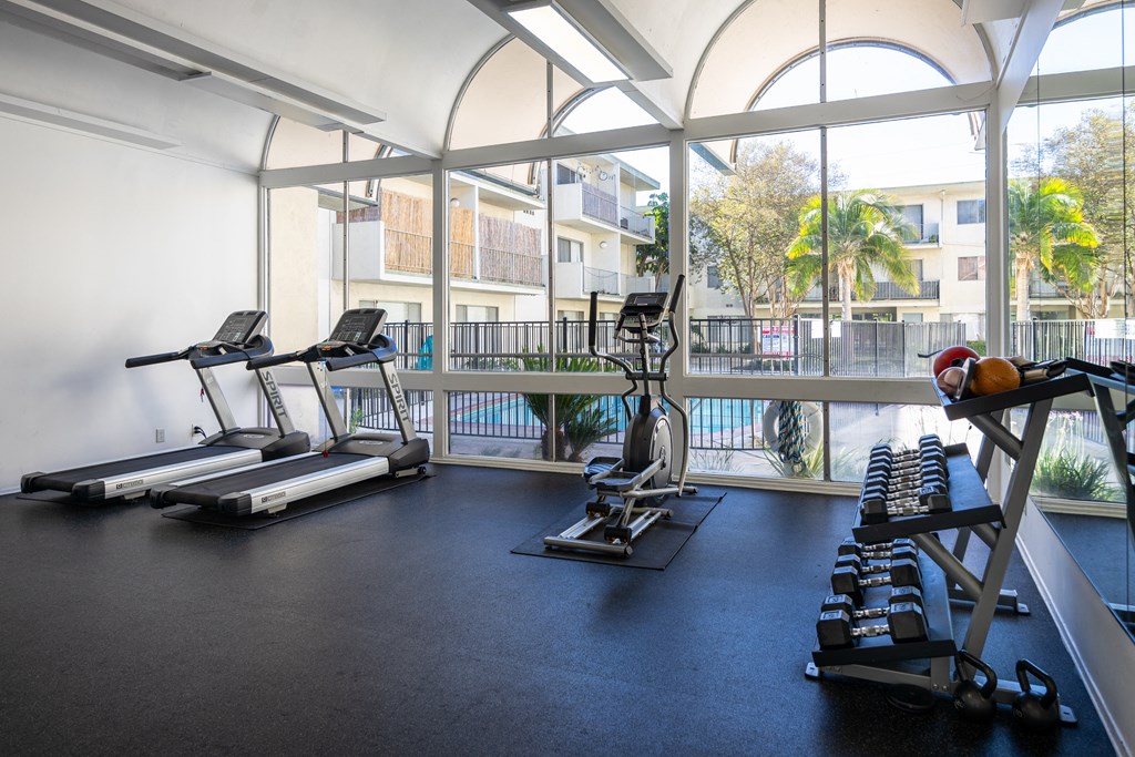 a gym with treadmills and weights in a building with large windows