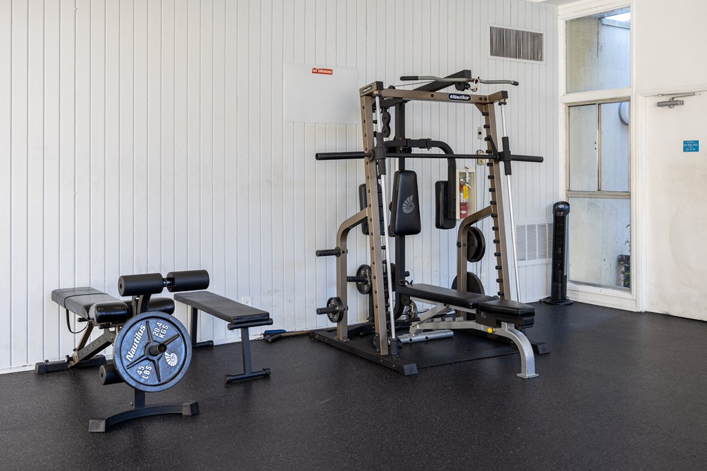a home gym with weights and cardio equipment