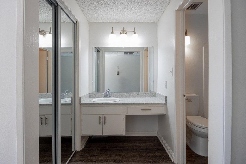 a bathroom with a sink and a toilet and a mirror