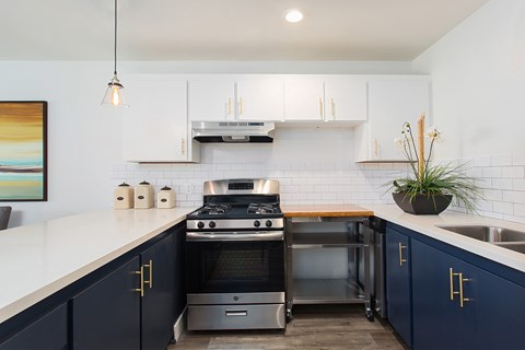 A modern kitchen with dark blue cabinets and a stainless steel oven.