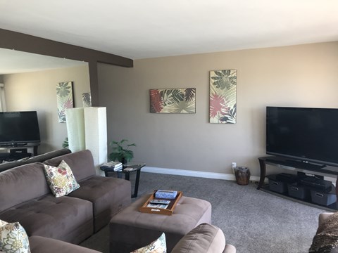 a living room with a couch and a tv