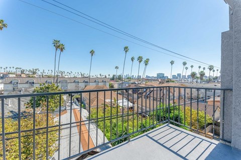 the balcony has views of the city and palm trees