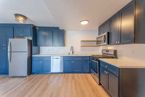 a kitchen with blue cabinets and stainless steel appliances