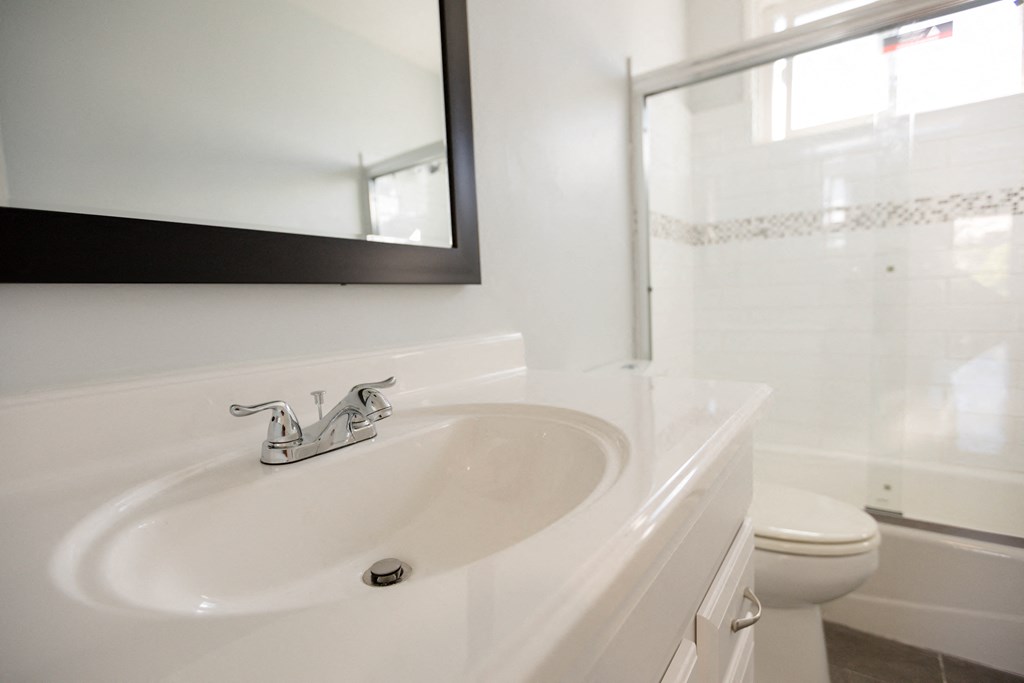 a bathroom with a sink and a shower and a mirror
