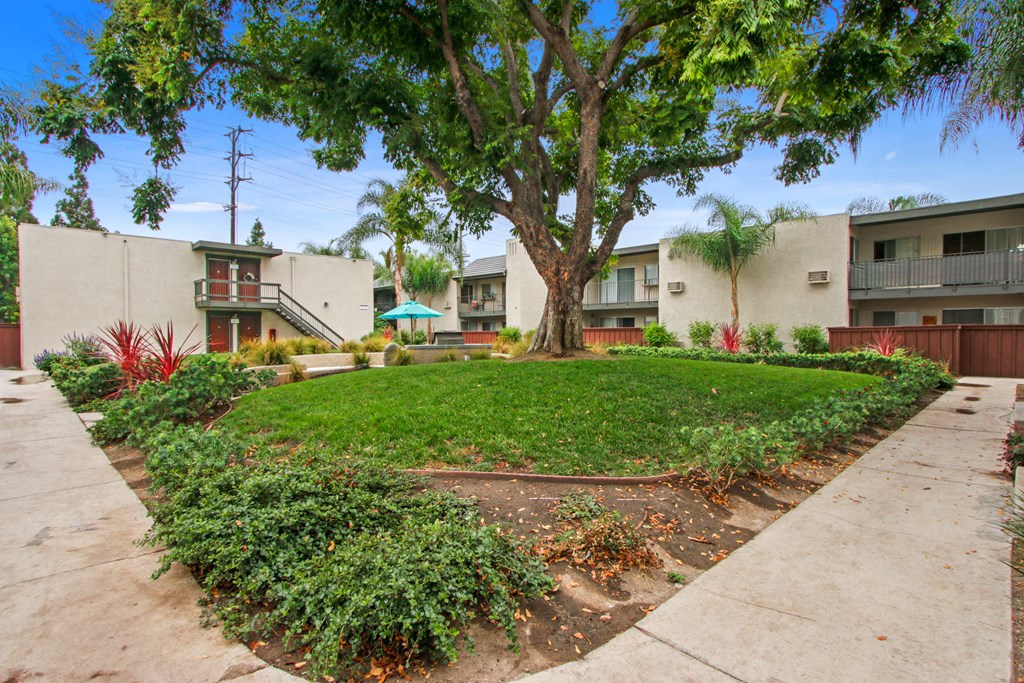 Open Green Areas Condos in Santa Ana