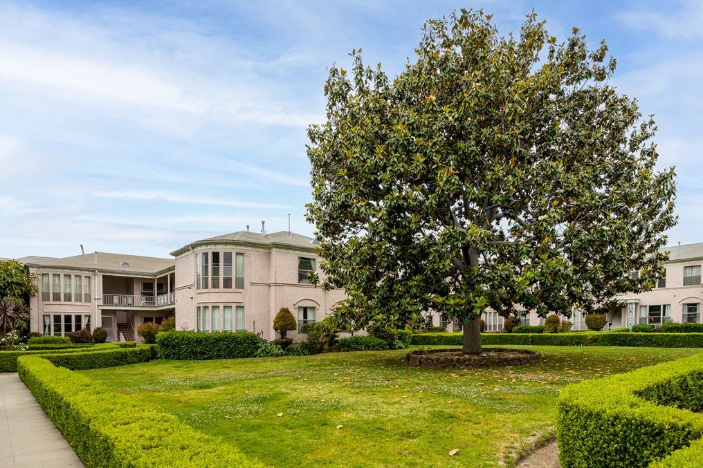 a house with a large tree in front of it