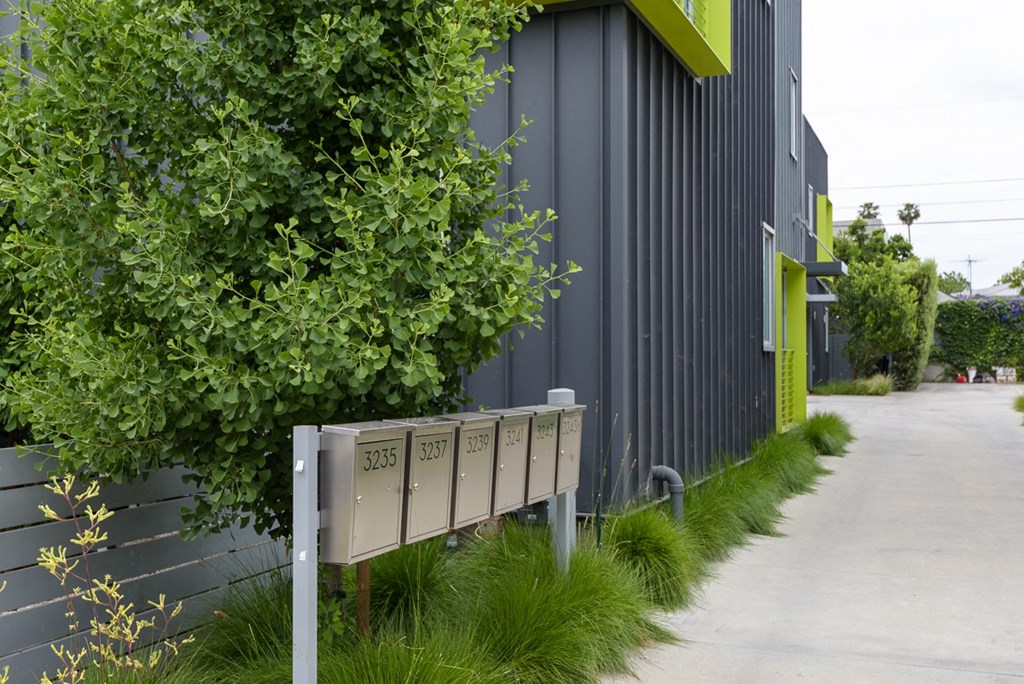 a bench in front of a building with a green tree and a sidewalk
